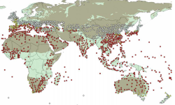 potential distributions of Solenopsis invicta