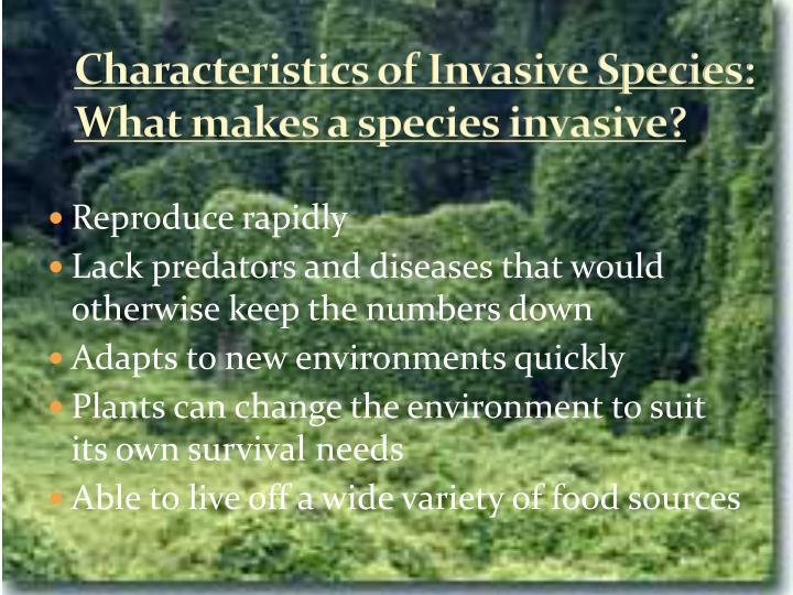characteristics of invasive species
